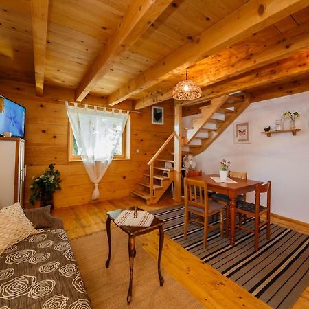 Beautiful Cottage With Heated Pool For 22 Ppl Plaški エクステリア 写真
