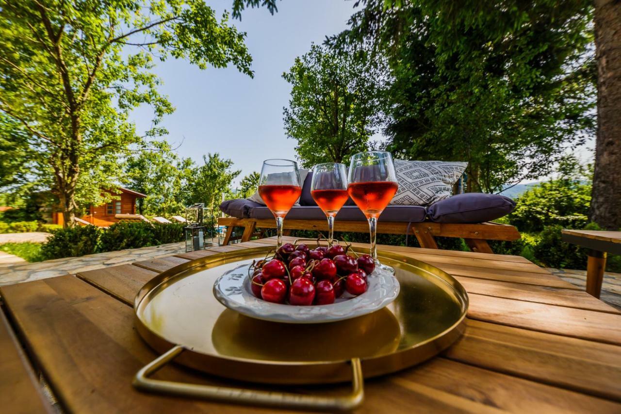 Beautiful Cottage With Heated Pool For 22 Ppl Plaški エクステリア 写真