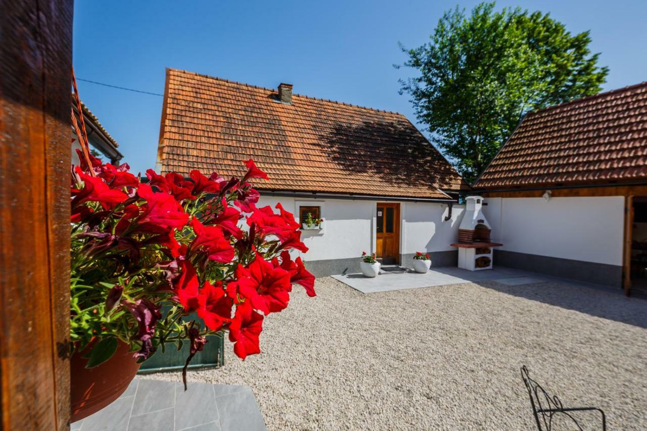 Beautiful Cottage With Heated Pool For 22 Ppl Plaški エクステリア 写真