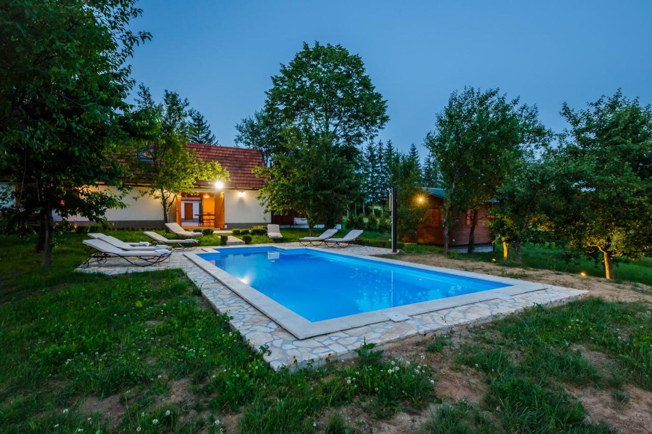 Beautiful Cottage With Heated Pool For 22 Ppl Plaški エクステリア 写真